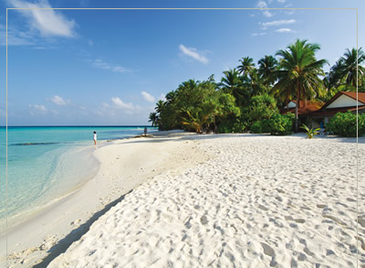 11 Days Tanzania Safari And Zanzibar Beach Holiday
