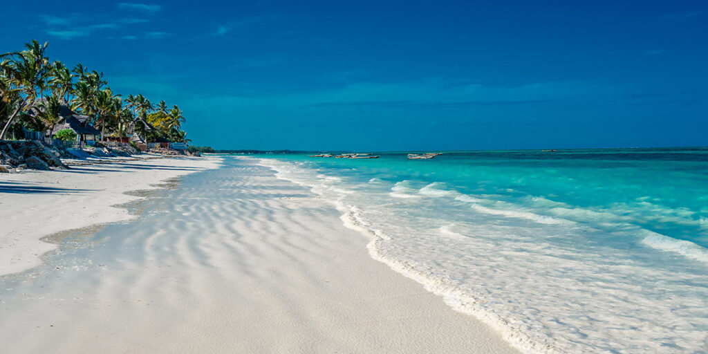 16 Days Tanzania Safari + Kilimanjaro & Zanzibar